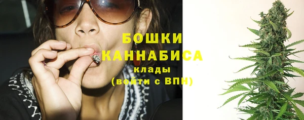 шишки Баксан