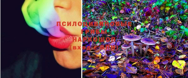 шишки Баксан