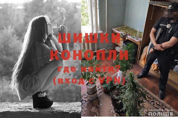шишки Баксан