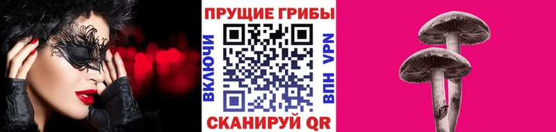 Псилоцибиновые грибы Psilocybine cubensis  Купить закладки  Сурск 