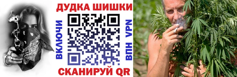 Купить Сурск Конопля индика
